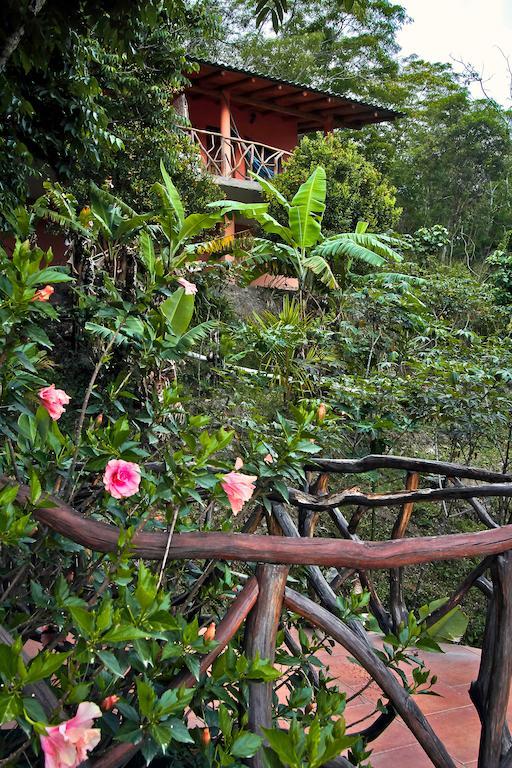 Casa Madre Tierra Hotell Vilcabamba Exteriör bild
